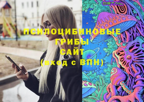 сатива Белокуриха