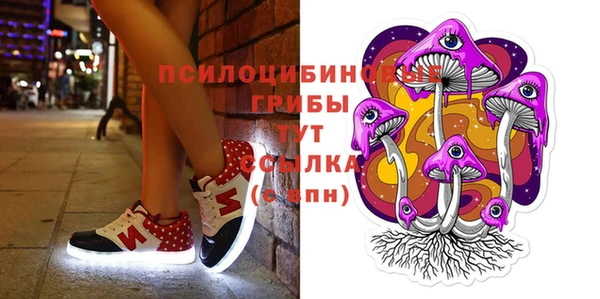 сатива Белокуриха