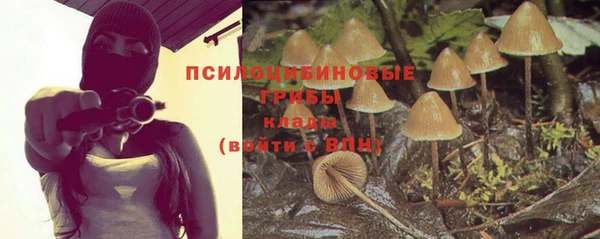 сатива Белокуриха