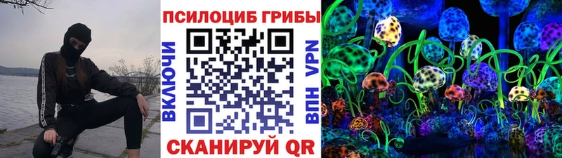 цены   Юрюзань  Псилоцибиновые грибы Psilocybe 